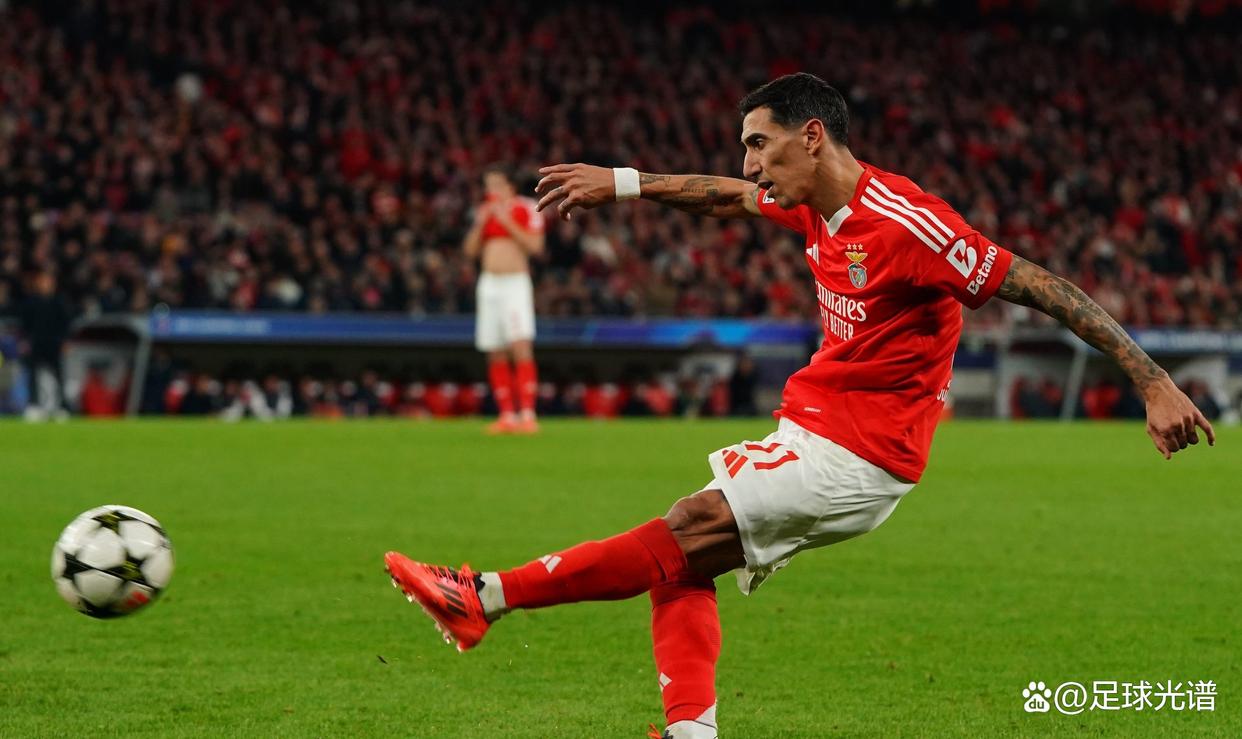 关于国王杯冲刺阶段再迎强敌，本菲卡伤情更新，主帅态度——媒体盛赞，年轻球员得到机会的信息